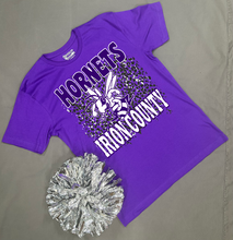 Load image into Gallery viewer, Local Grunge: Hornets